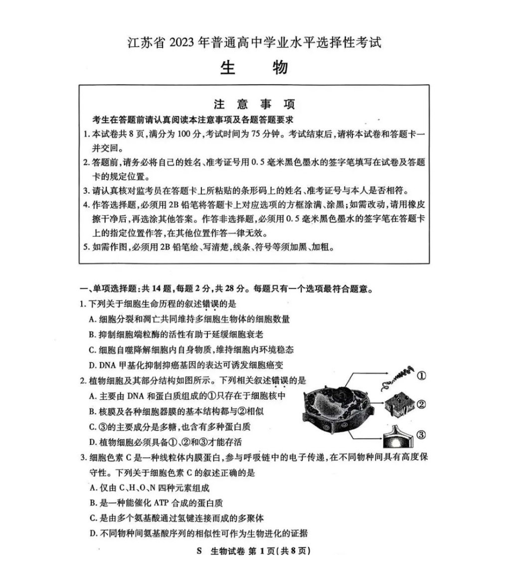 新澳今天最新免费资料｜全新答案解释落实