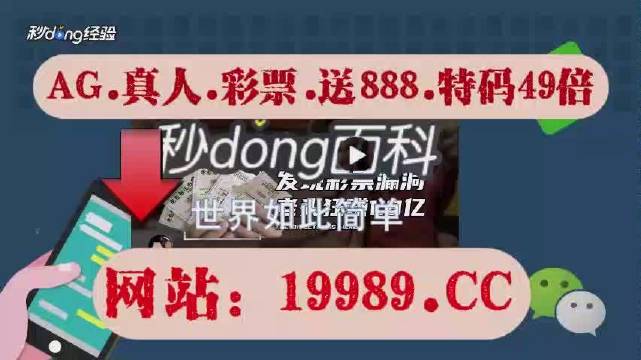 2024澳门天天开彩正版免费资料｜词语释义解释落实