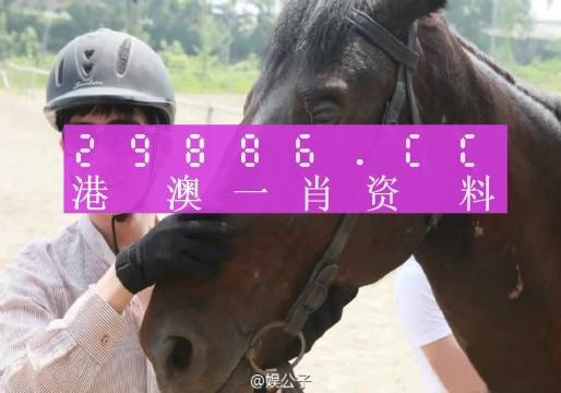 澳门必中一一肖一码服务内容｜全新答案解释落实