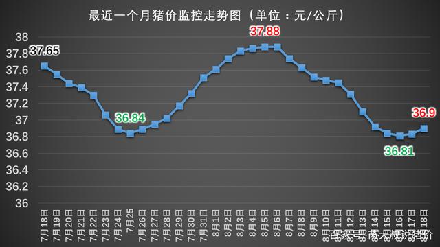 石家庄猪肉价格动态分析与趋势预测