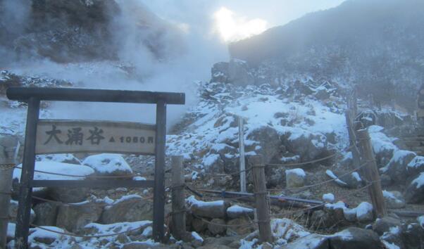 富士山火山最新监测与研究进展揭秘喷发迹象及应对策略