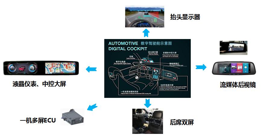 杭州湾新区蓝色经济新引擎蓬勃发展最新消息