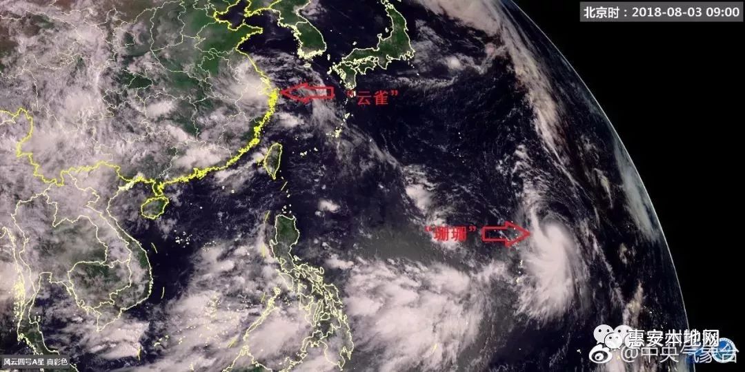 台风云雀最新动态，影响分析、展望与实时消息更新