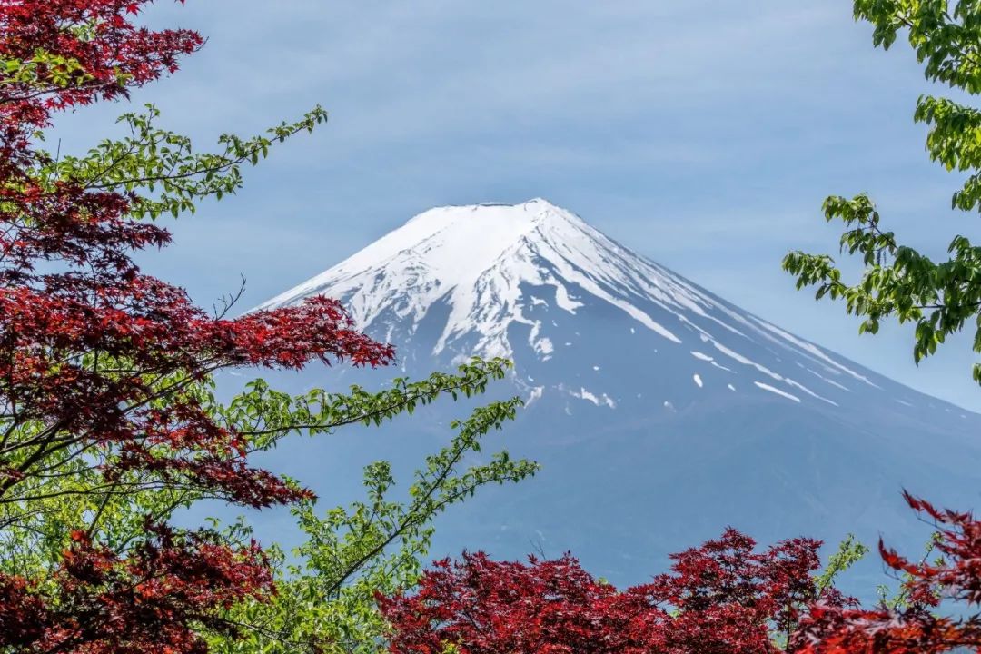 富士山最新动态，自然与人文的和谐交融展现