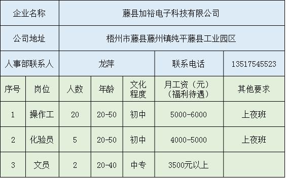 2024年12月26日 第9页