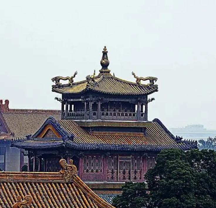 雨花阁最新动态及未来展望揭秘