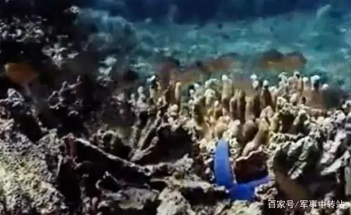 海南最新地震动态解读及应对举措今日更新