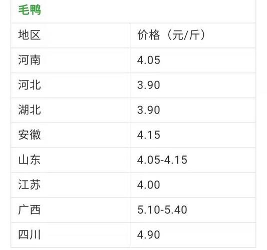 肉鸭价格最新动态，市场分析及趋势预测